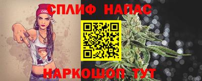 прущие грибы Гудермес