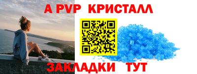 прущие грибы Гудермес