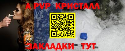 прущие грибы Гудермес
