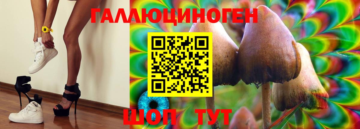 Егорьевск  Псилоцибиновые грибы MAGIC MUSHROOMS  купить наркотики сайты  Вход с VPN 